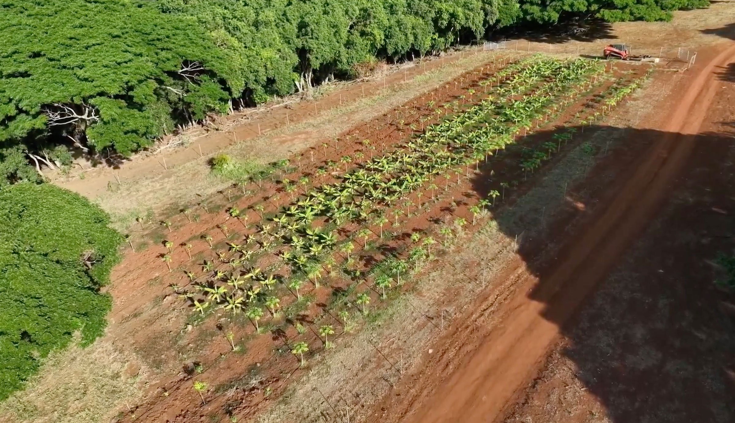 Kaukonahua-Ranch-Crop-Plot-aerial Kaukonahua Ranch Crop Plot Aerial