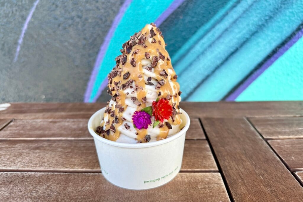 Coconut swirl at perfect day ice cream