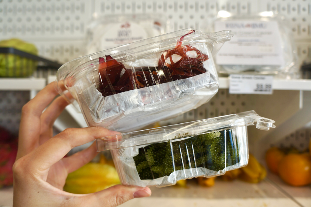 Hoiliili by Farm Link limu 2 pc Andrea Lee Hoiliili By Farm Link Limu 2 Pc Andrea Lee