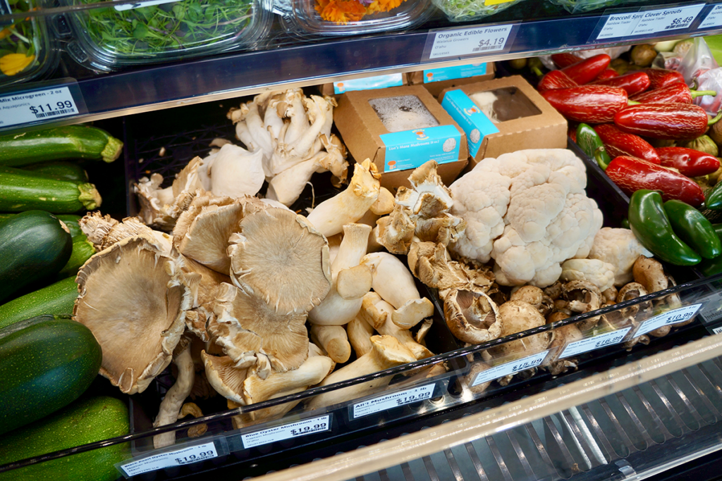 Hoiliili by Farm Link mushrooms pc Andrea Lee Hoiliili By Farm Link Mushrooms Pc Andrea Lee