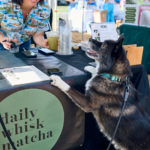 Keep It Kaimuki Saturday Daily Whisk Matcha Dog Pc Tommy Shih