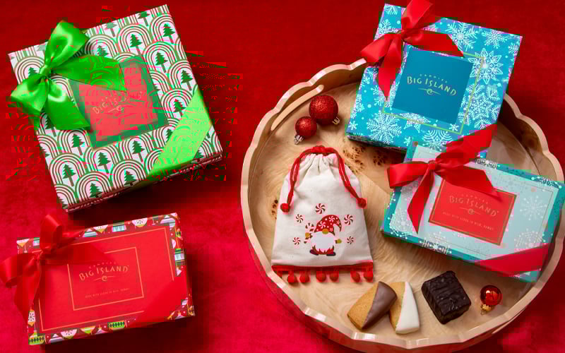 2025 11 18 Honolulu Mag 800x500