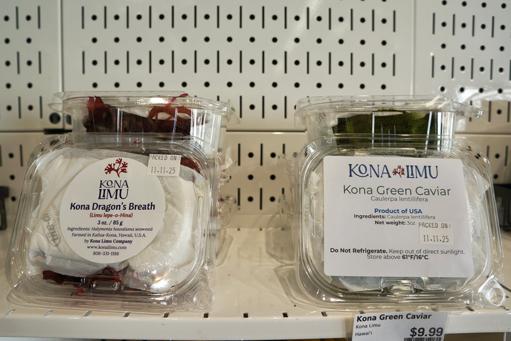 Hoiliili by Farm Link limu 1 pc Andrea Lee Hoiliili By Farm Link Limu 1 Pc Andrea Lee