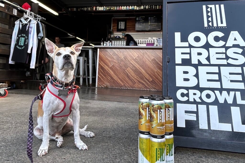 dog sitting by Inu Island Ales sign