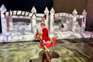 Twas The Light Before Christmas On Ice Bounce Houses Pc Laura Dornbush