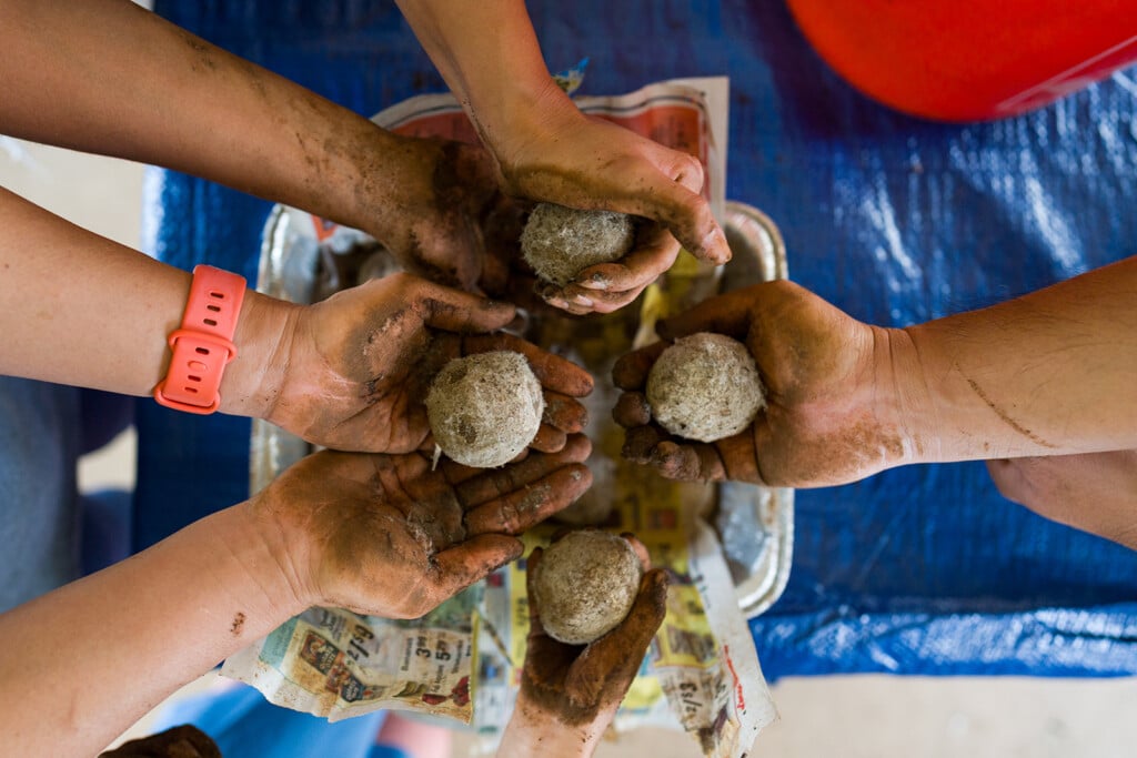 Honolulu Magazine Genki Balls