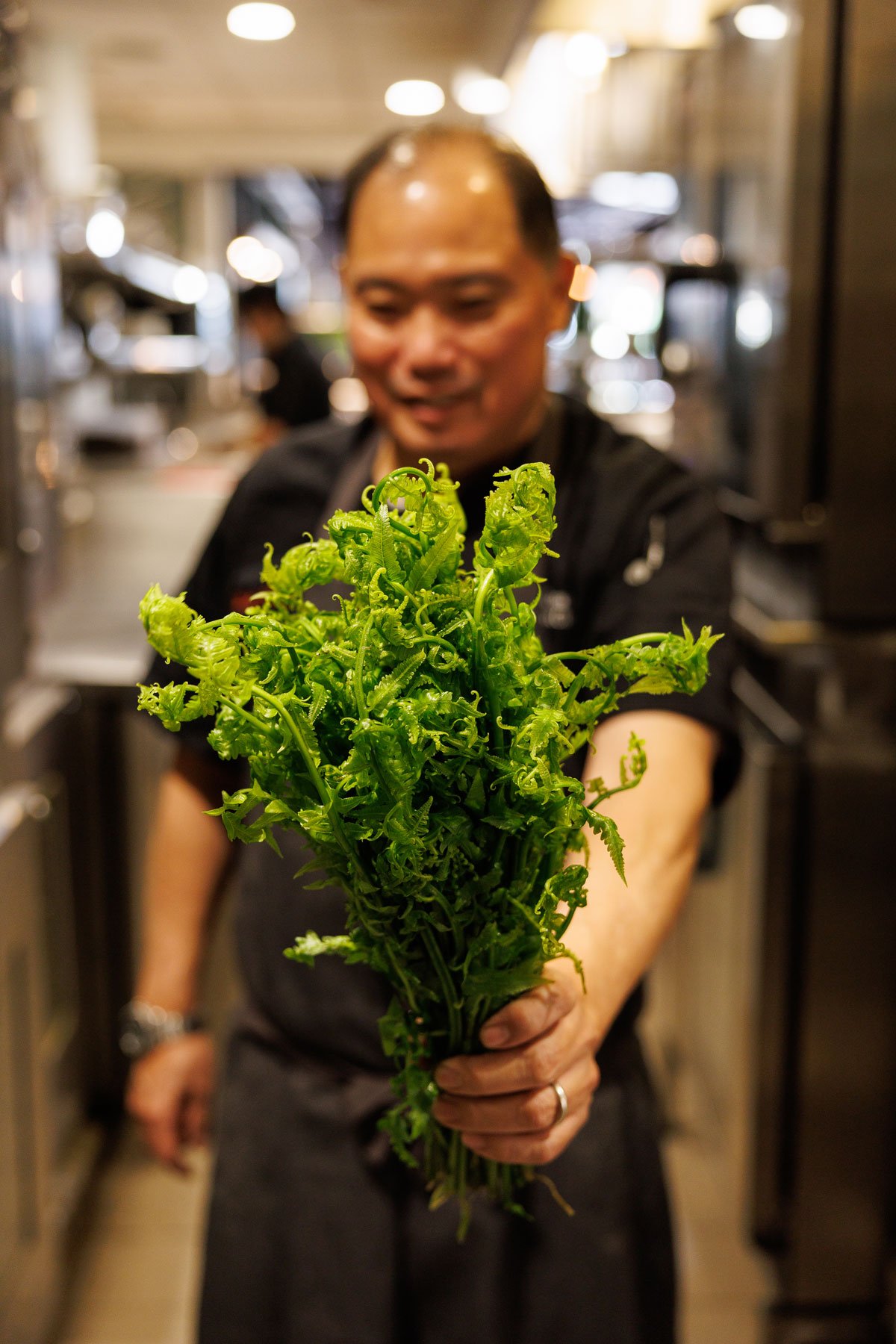 Hn2603 Ay Basalt Pohole Salad 6733