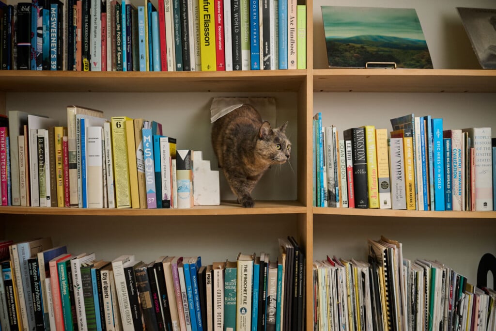 tommyshih-honmag-homes-akemipaolo-0022 Tommyshih Honmag Homes Akemipaolo 0022