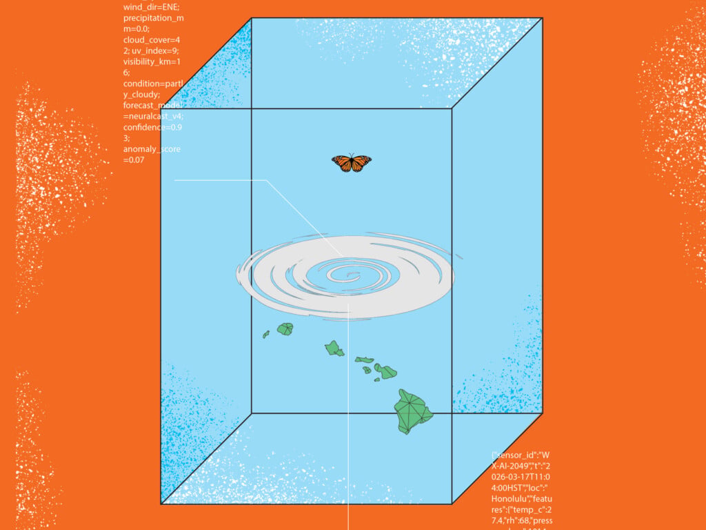 Disaster Vortex