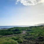 808 Cleanups Kv