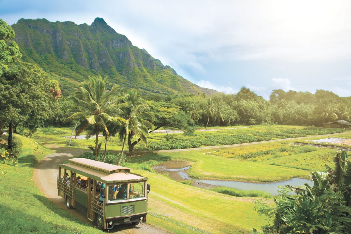 Kualoa Grown Tour