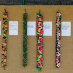 Lei4