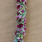 Lei18
