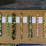 Lei3