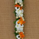 Lei20