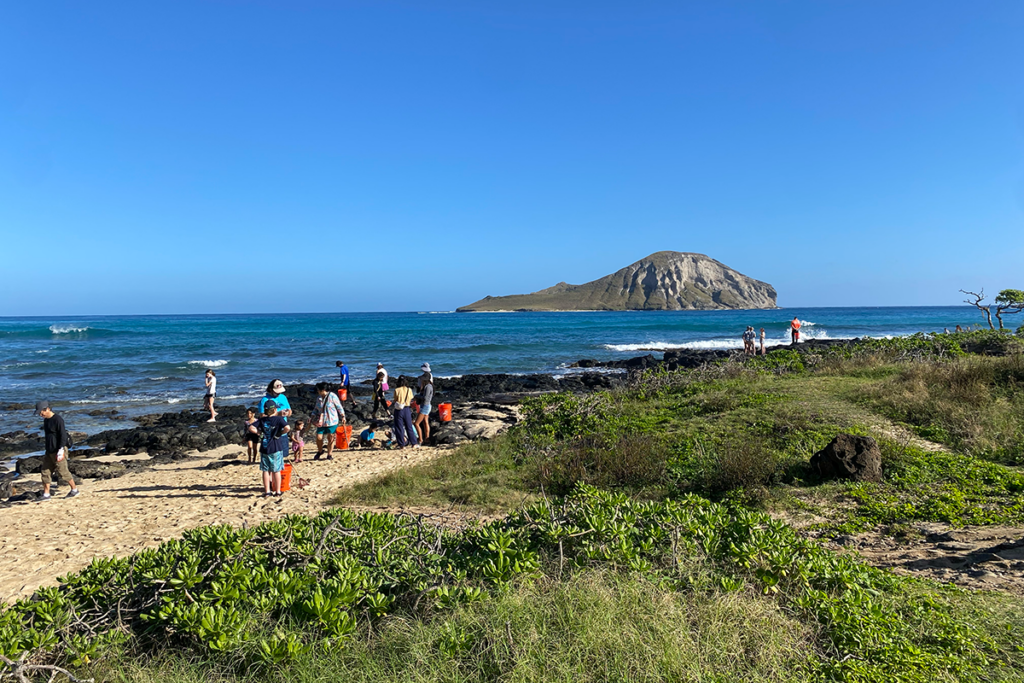 Beach Cleanup Photo Courtesy Of Sea Life Park Hawaii