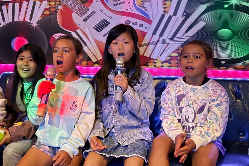 Photo Courtesy Of Air Park Karaoke