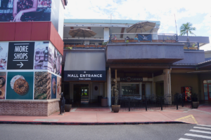 Ward Centre Exterior Fat Cheeks Pc Andrea Lee