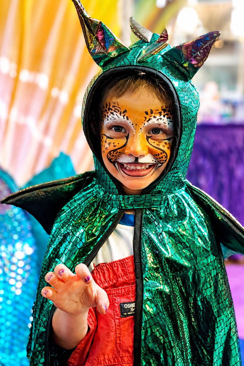 Dragon Cat Courtesy Storybookstationhawaii