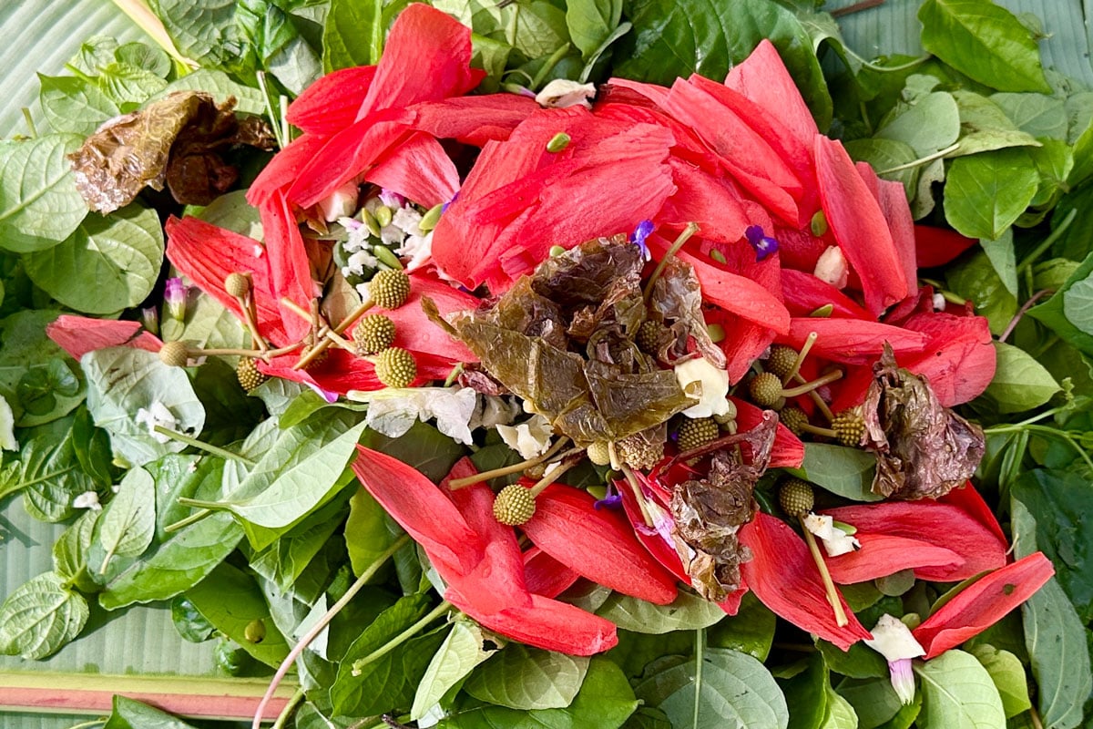 Family Style Salad Urban Foraging Tour Photo Credit Laura Dornbush