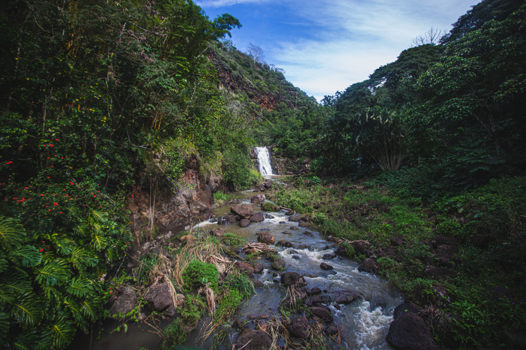 Waimea Valley Waterfall