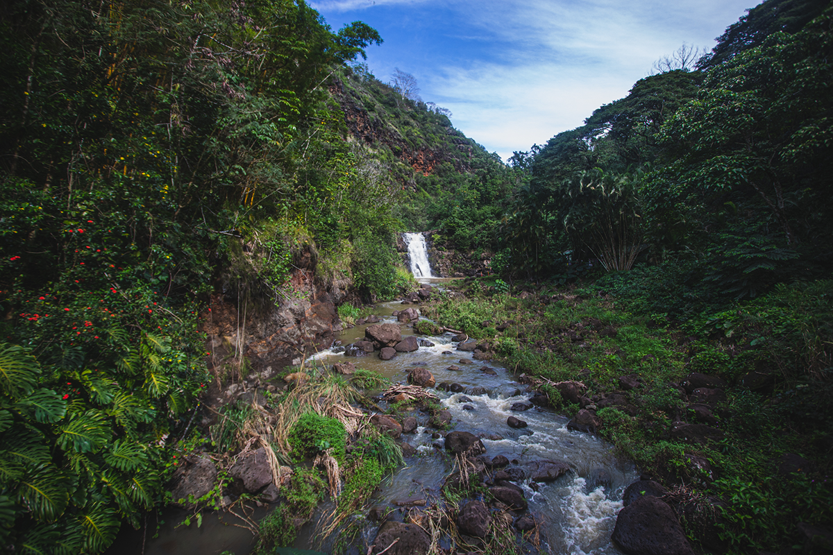 Waimea Valley Waterfall