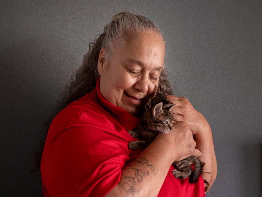 WCCC foster kittens