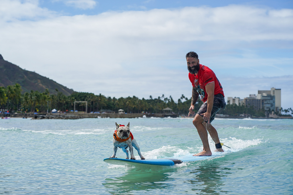 Raising Canes Going To The Dogs Surfur Competition Photo Courtesy Of Dukes Oceanfest