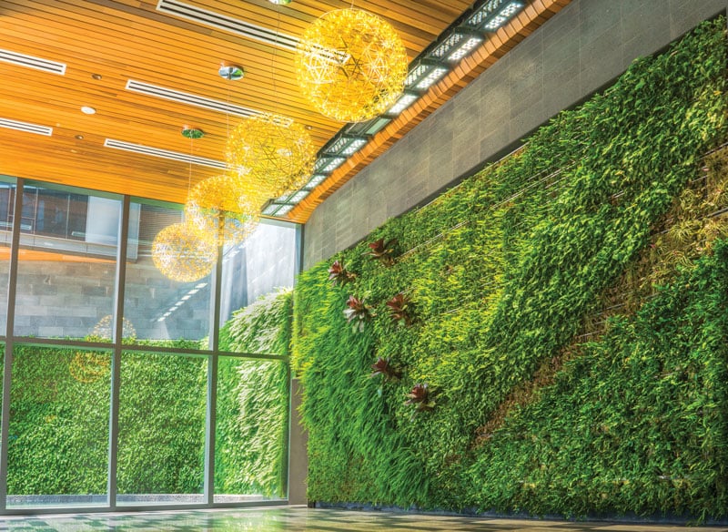 Spaces Living Wall Ward Village
