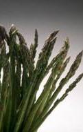 Asparagus
