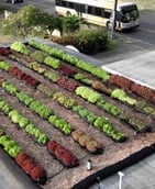 Farmroof2