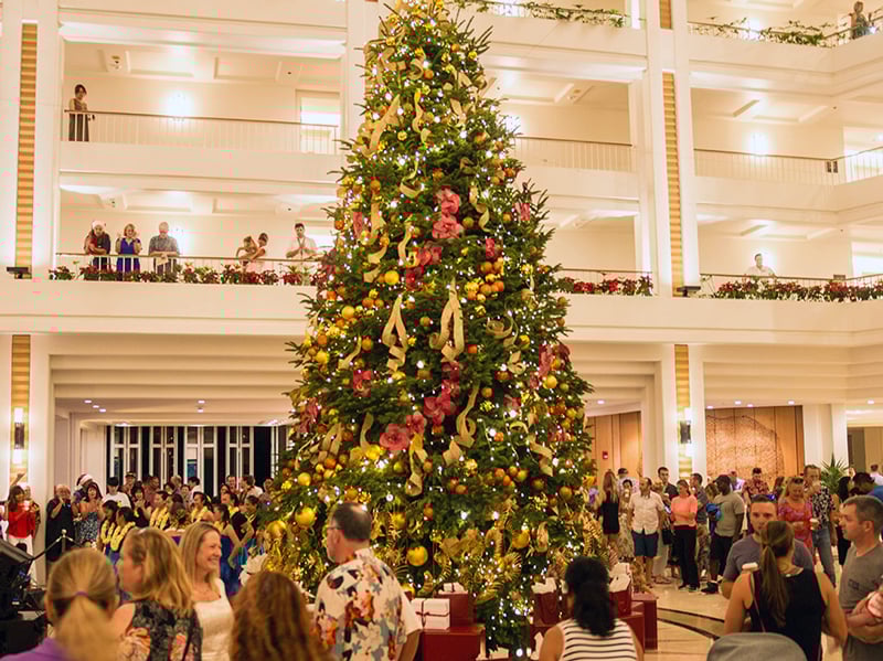 Four Seasons Tree Lighting