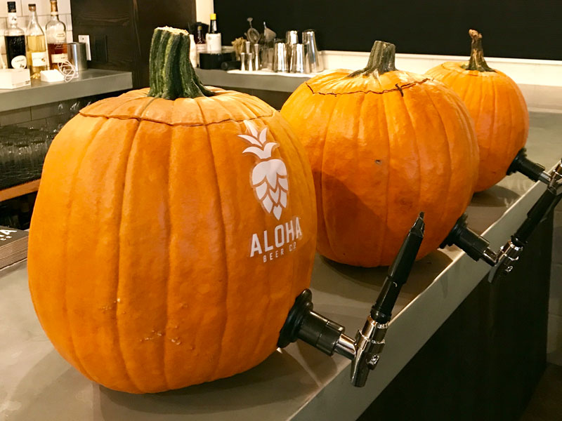 Splash Pumpkin Keg