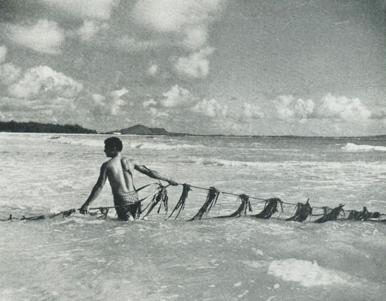 Jayna Omaye Honolulu Magazine