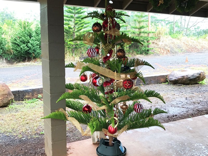 Christmas Tree Decorated