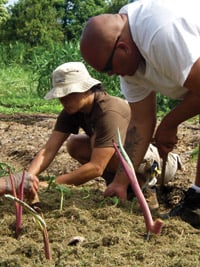 Cropsharing