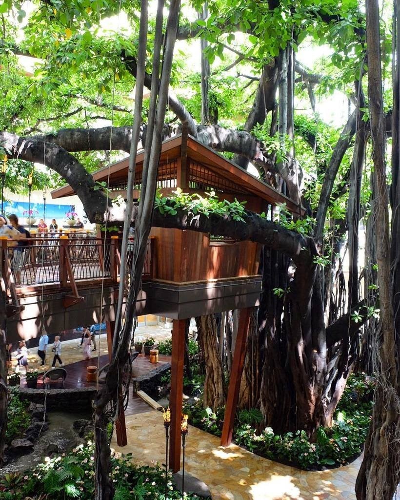 1 Treehouse