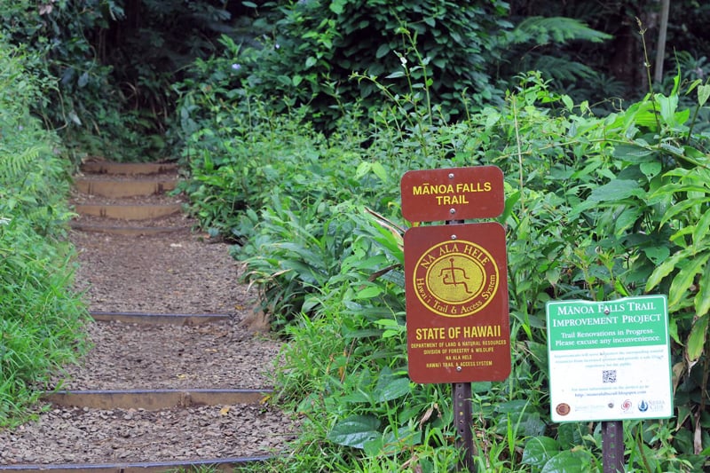Manoa Falls Trail Staircase
