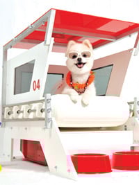 Doghouses