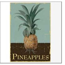 Pineapple1nl