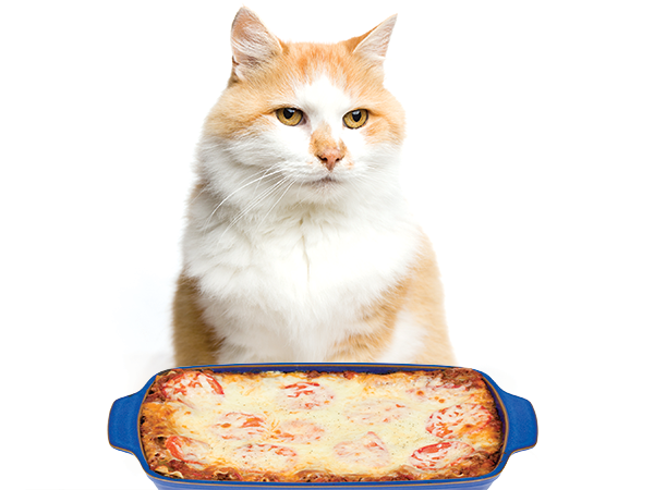 Garfield Splash