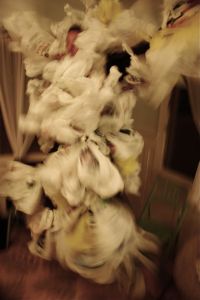 Plasticbagmonster1