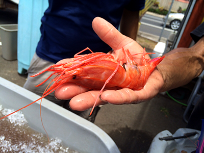 Nimitz Fish Market Splash