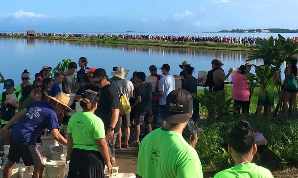 Thousands Turn Out to Fix a Huge Hole in This 800-Year-Old He'eia