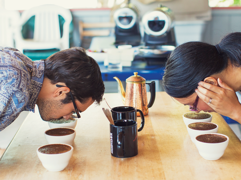 Splash Caffeinated