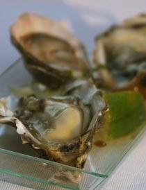 Oysters2
