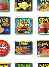 Spamcansth