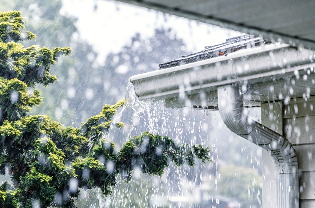 Dcca Flood Insurance
