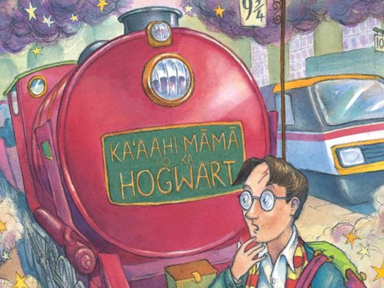 Harry Potter Hawaiian Cover Preview