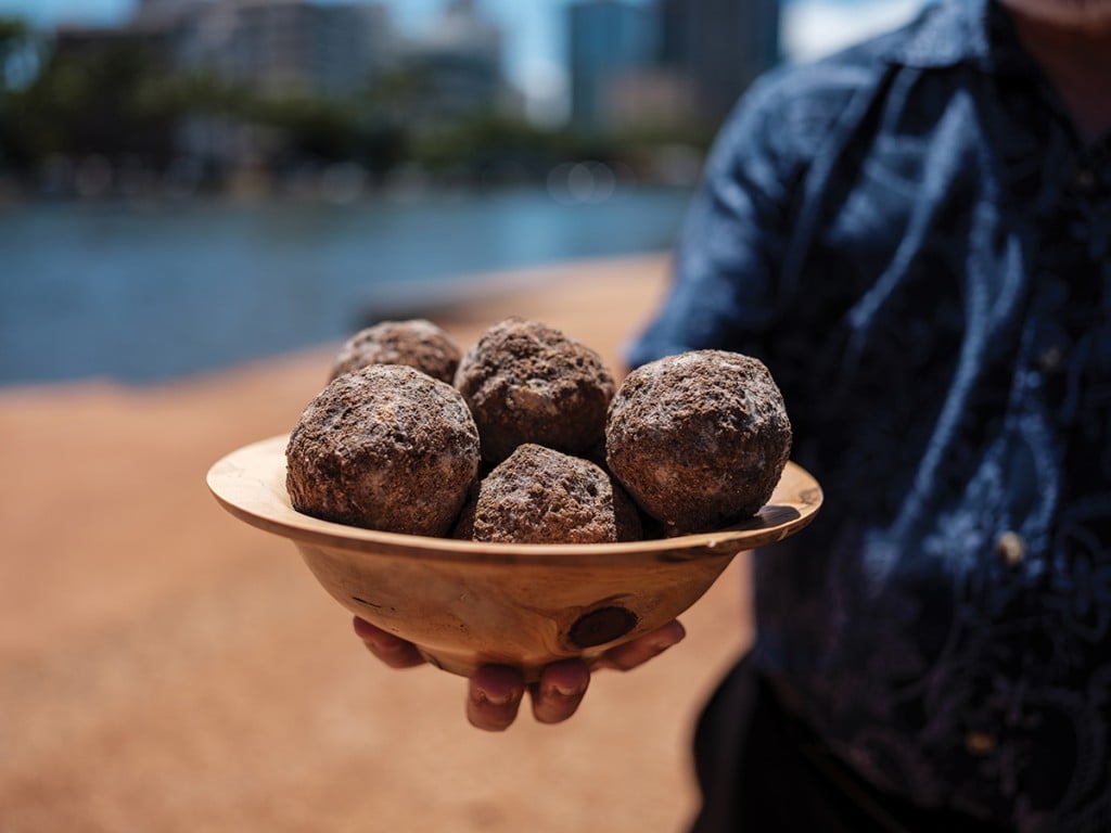 Can These Muddy Looking Balls Make The Ala Wai Swimmable Cover